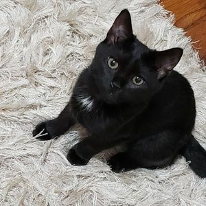 Meet your Posher, Angie